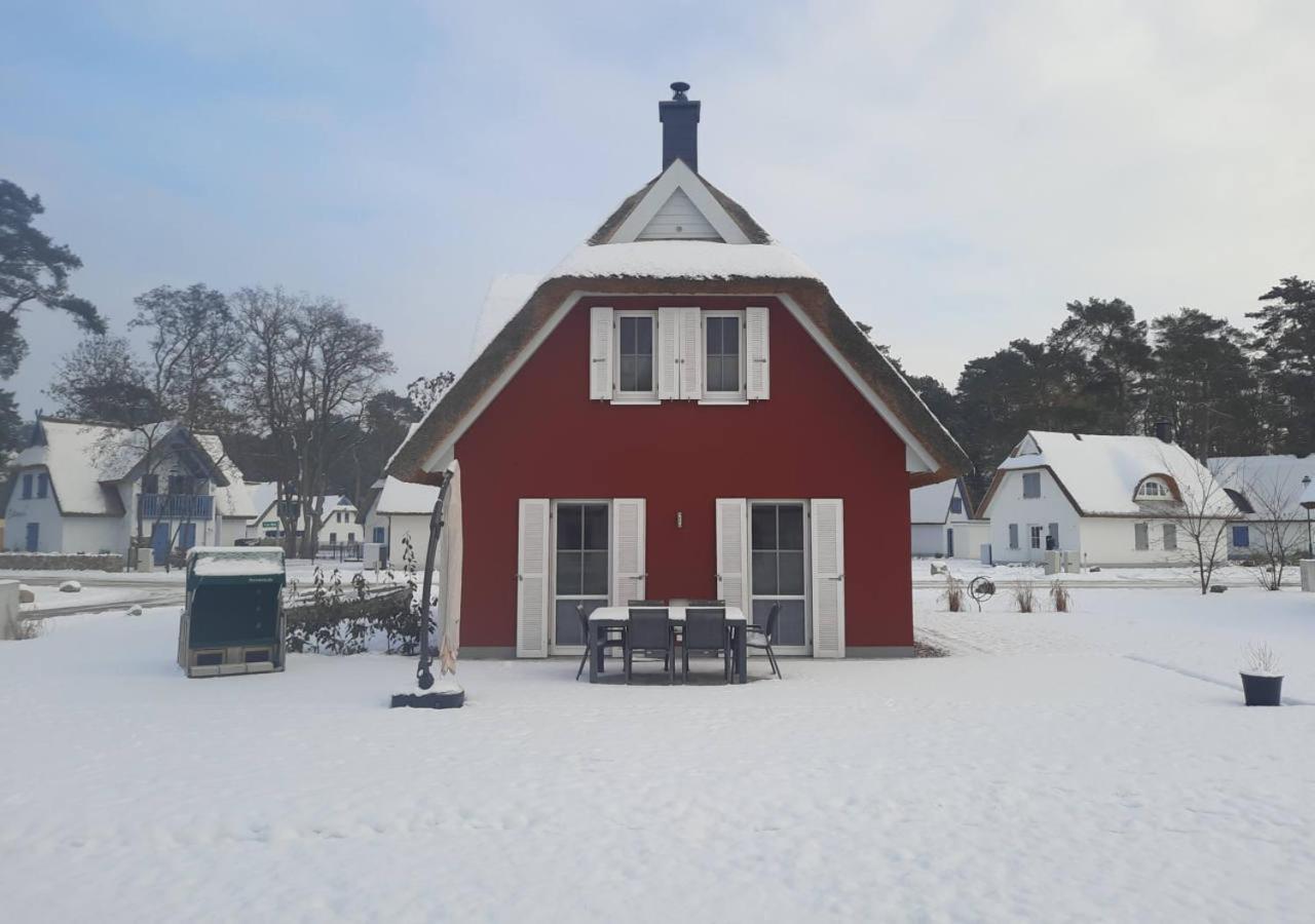 Modernes Reetdach-Ostseeferienhaus Bella Mare, Insel Usedom Mit Sauna, Kamin & Sonnenterrasse Zirchow Zewnętrze zdjęcie